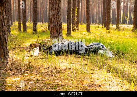 trash in the forest on a sunny day - background Stock Photo