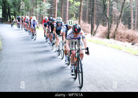 NIJVERDAL - 06-09-2019, cycling, Boels Ladies Tour, etappe 3, Anna van der Breggen leads the pack Stock Photo