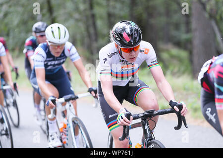 NIJVERDAL - 06-09-2019, cycling, Boels Ladies Tour, etappe 3, Anna van der Breggen in the peloton Stock Photo