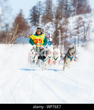 ESSO VILLAGE, KAMCHATKA, RUSSIA - MARCH 4, 2019: Running dog sledge team Kamchatka musher. Kamchatka Sled Dog Racing Beringia. Russian Far East, Kamch Stock Photo