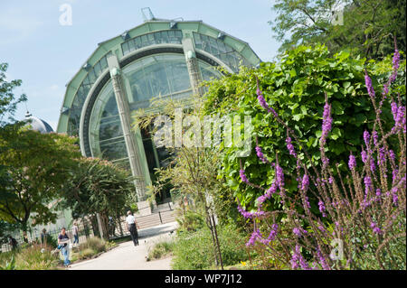 Der Jardin des Plantes ist ein Botanischer Garten in Paris mit einer Fläche von 23,5 ha. Er liegt im Südosten der Stadt, am südlichen Ufer der Seine i