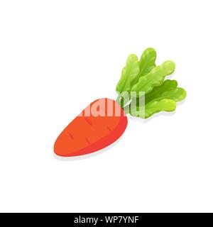 Carrot with leaves isolated on white background. Ripe orange vegetable eco farm plant for cooking healthy dish Natural product design element for game Stock Vector