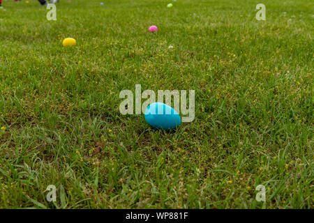 Close up of Easter eggs in grass field, with copy space for text Stock Photo