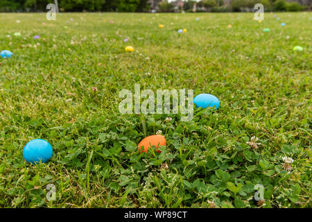 Close up of Easter eggs in grass field, with copy space for text Stock Photo