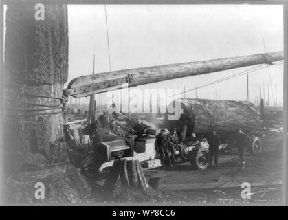 Loading boom on a spar tree - Truck logging in Washington Stock Photo