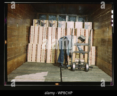 Loading oranges into a refrigerator car at a co-op orange packing plant, Redlands, Calif. Santa Fe R.R. trip Stock Photo