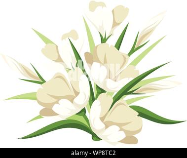 Vector bouquet of white flowers and green leaves isolated on white. Stock Vector