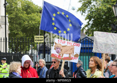 London, UK. 07th Sep, 2019. Anti-Brexit campaigners with placards and EU flags demonstrates at London's Whitehall in Westminster.The campaigners are demonstrating to oppose the British Prime Minister Boris Johnson's plans to suspend UK Parliament until October 14. Credit: SOPA Images Limited/Alamy Live News Stock Photo