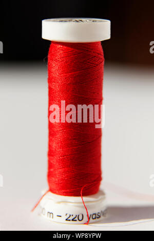 red sewing thread wrapped on a white plastic roll in studio light Stock Photo
