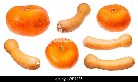 various orange pumpkins isolated on white background Stock Photo