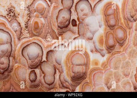 Close up onyx beige natural stone marble texture. Stock Photo