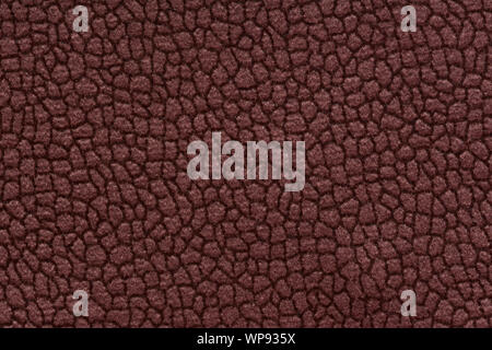 Saturated fabric texture in chocolate colour. High quality texture in extremely high resolution. Stock Photo
