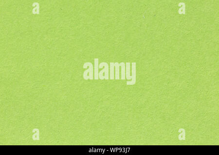 Macro shot of green texture. High quality background in extremely high resolution. Stock Photo