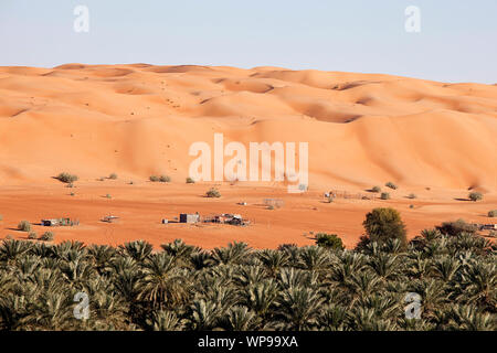 Bedouin settlement with camels and goats in the Wahiba Sands, desert in Oman Stock Photo