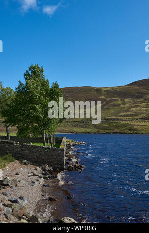 The small Shingle Beach near to the Stone Church Wall of Old Glens Parish Church at the head of the Glen, with the Graveyard trees blowing in the wind Stock Photo