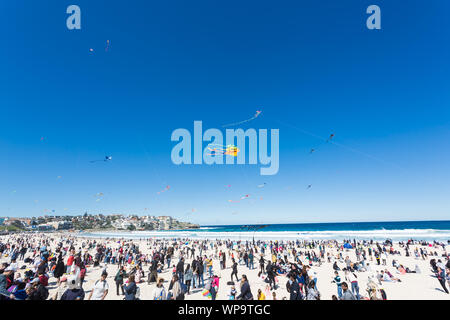 Festival of the winds, Bondi Beach, Sydney. Australia's largest kite festival. Stock Photo