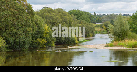 Eye Bridge Wimborne Dorset UK Stock Photo