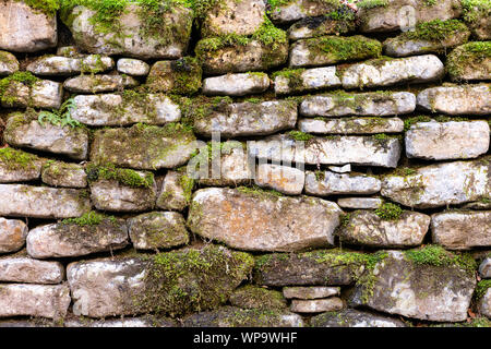 background with wall of irregular stones with moss in an autumnal light Stock Photo