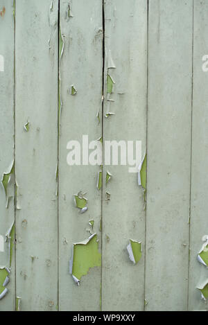 Green paint flaking off an old wooden door. Dirty, decaying, flaky, detail for background texture Stock Photo