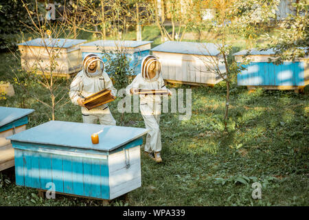 Two beekeepers in protective uniform walking with honeycombs while working on a traditional apiary. Concept of beekeeping and small farming Stock Photo