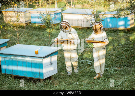 Two beekeepers in protective uniform walking with honeycombs while working on a traditional apiary. Concept of beekeeping and small farming Stock Photo