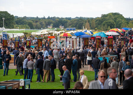 Italian Tourist Board Festival of Food and Wine, Ascot Racecourse, Ascot, Berkshire, UK. 7th September, 2019. A busy day of racing. Credit: Maureen McLean/Alamy Stock Photo