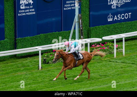 Italian Tourist Board Festival of Food and Wine, Ascot Racecourse, Ascot, Berkshire, UK. 7th September, 2019. Jockey Jason Watson wins the Royal Foresters British EBF Fillies' Novice Stakes on horse Pocket Square. Credit: Maureen McLean/Alamy Stock Photo