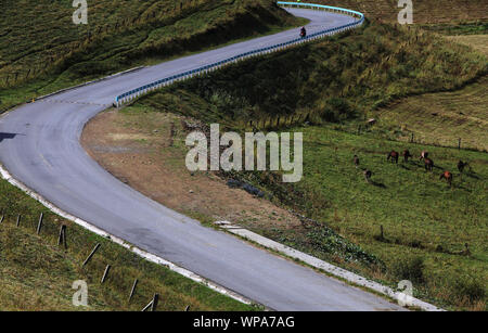 Xinyuan. 7th Sep, 2019. Photo taken on Sept. 7, 2019 shows the scenery of Narat scenic spot in Xinyuan County, northwest China's Xinjiang Uygur Autonomous Region. Credit: An Xiya/Xinhua/Alamy Live News Stock Photo