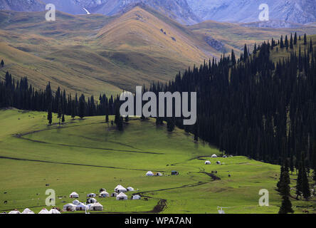 Xinyuan. 7th Sep, 2019. Photo taken on Sept. 7, 2019 shows the scenery of Narat scenic spot in Xinyuan County, northwest China's Xinjiang Uygur Autonomous Region. Credit: An Xiya/Xinhua/Alamy Live News Stock Photo