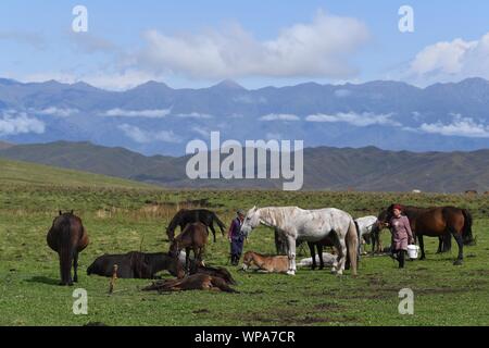 Xinyuan. 7th Sep, 2019. Photo taken on Sept. 7, 2019 shows the scenery of Narat scenic spot in Xinyuan County, northwest China's Xinjiang Uygur Autonomous Region. Credit: Sadat/Xinhua/Alamy Live News Stock Photo