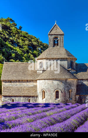 Senanque Abbey or Abbaye Notre-Dame de Senanque with lavender fields, Gordes, Provence, France Stock Photo