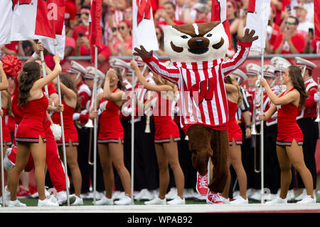 September 7, 2019: Wisconsin Badgers mascot Bucky Badger runs onto the field before the NCAA Football game between the Central Michigan Chippewas and the Wisconsin Badgers at Camp Randall Stadium in Madison, WI. John Fisher/CSM Stock Photo