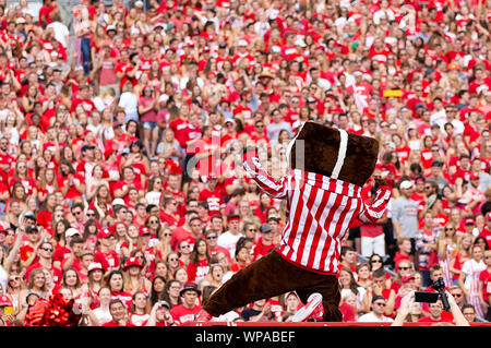 September 7, 2019: Wisconsin Badgers mascot Bucky Badger entertains the student section during the NCAA Football game between the Central Michigan Chippewas and the Wisconsin Badgers at Camp Randall Stadium in Madison, WI. John Fisher/CSM Stock Photo