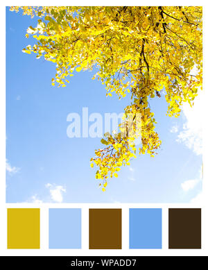 Autumn color matching palette. Orange, red, grey, beige color swatches ...