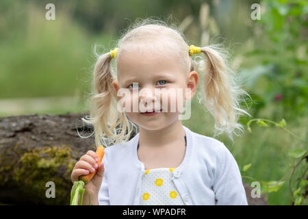 The little girl harvests carrots and eats carrots in the garden Stock Photo