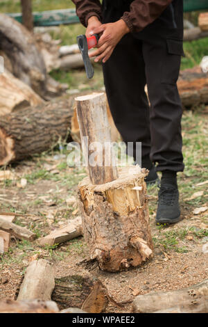 Man choping wood in the forest Stock Photo