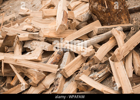 Man choping wood in the forest Stock Photo