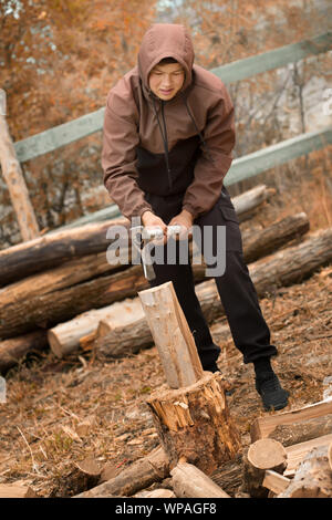 Man choping wood in the forest Stock Photo