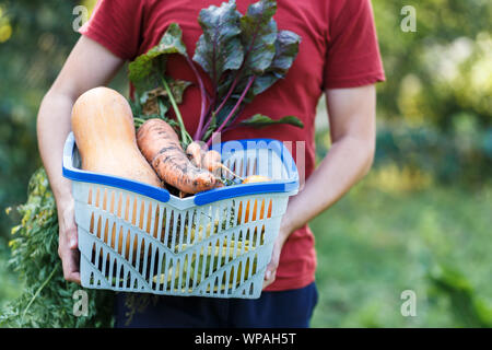 A farmer boy is holding basket full of vegetables at green farm Stock Photo