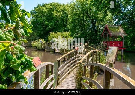 A series of wooden arched bridges with a hut in the centre create a footbridge across a pool of sunlit water from where to view the flora and fauna Stock Photo