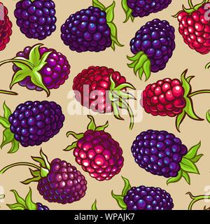 boysenberry vector pattern on color  background Stock Vector