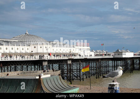 Perched seagull on the beach and people walking along Brighton Pier in East Sussex England UK  KATHY DEWITT Stock Photo