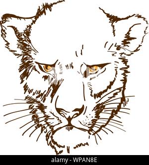 lioness head, sketch in pop art style, vector illustration Stock Vector