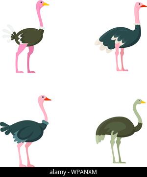 Ostrich icons set. Flat set of ostrich vector icons for web design Stock Vector