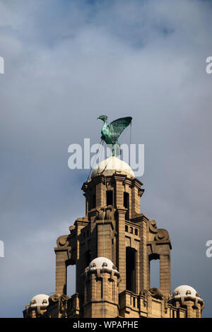 Liver bird statue atop a tower on the Royal Liver Building in Liverpool Stock Photo