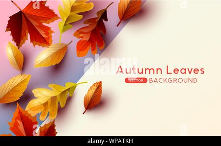 Autumn seasonal background frame with falling autumn leaves and room for text. Vector illustration Stock Vector