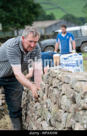 Farmers repairing drystone wall in North Yorkshire, a traditional craft. North Yorkshire, UK. Stock Photo