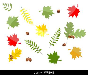 Pattern with autumn leaves on a white background. Vector illustration Stock Vector