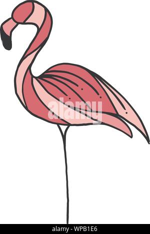 Pink flamingo vector illustration isolated on white background ...