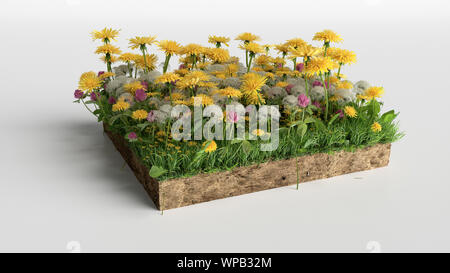 Green grass and flowers island on white background. 3d rendering Stock Photo